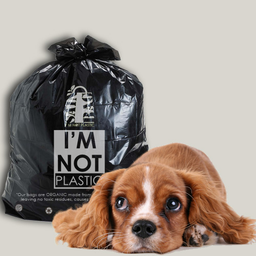 Pet Waste Bag
